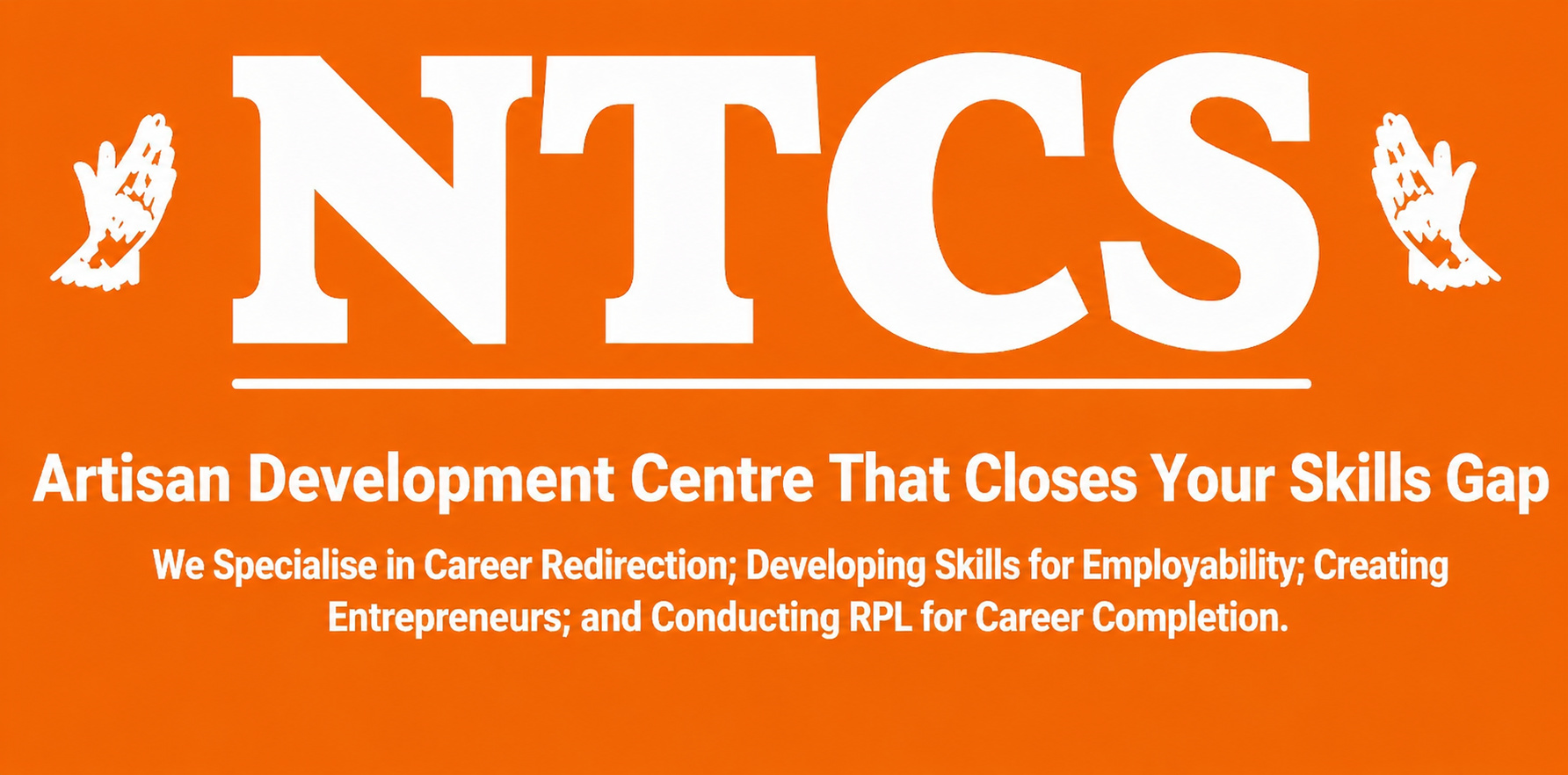 Nkarise Training and Consulting Services logo